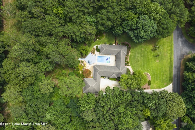 970 Raintree Dr, Alexander City, AL 35010 - bird's eye view of a pool area