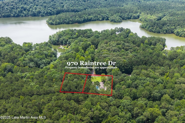 970 Raintree Dr, Alexander City, AL 35010 - aerial view of property and surrounding area featuring a heavily wooded area and property boundaries highlighted
