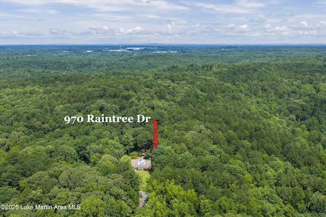 970 Raintree Dr, Alexander City, AL 35010 - drone / aerial view of a forest
