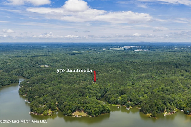970 Raintree Dr, Alexander City, AL 35010 - aerial view of a forest and a nearby body of water