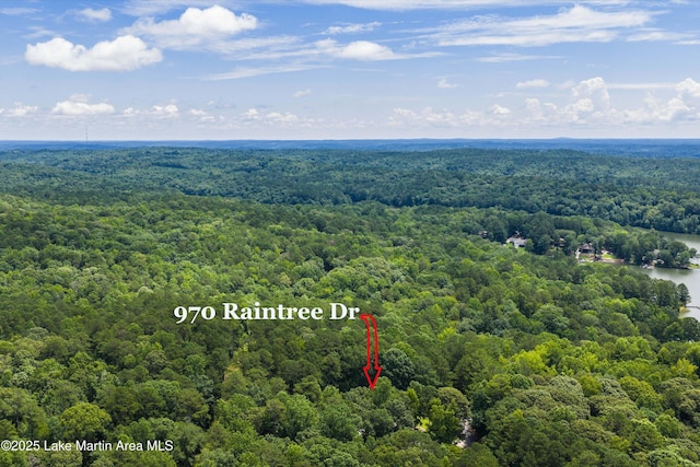 970 Raintree Dr, Alexander City, AL 35010 - drone / aerial view of a forest and a large body of water