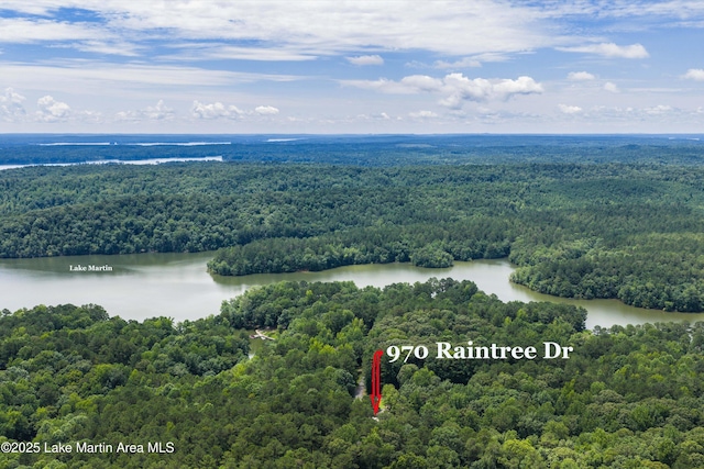 970 Raintree Dr, Alexander City, AL 35010 - bird's eye view of a heavily wooded area and a nearby body of water