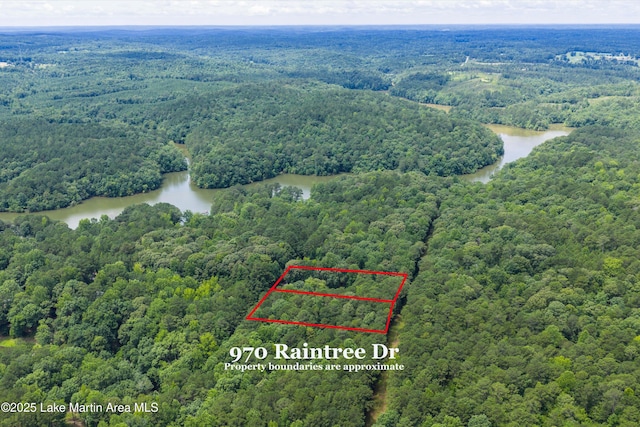 970 Raintree Dr, Alexander City, AL 35010 - aerial overview of property's location with a large body of water and property boundaries highlighted