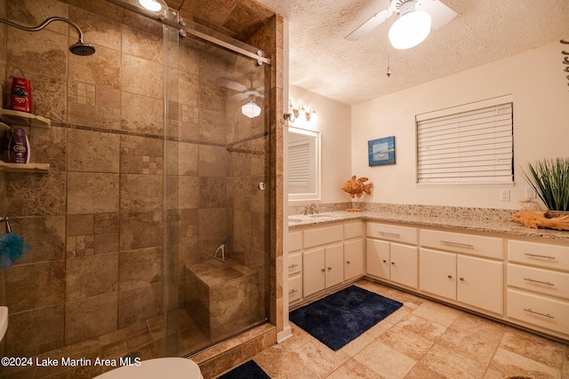 bathroom with vanity, a textured ceiling, and a shower with shower door