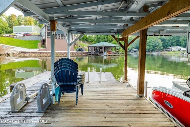 dock area with a water view