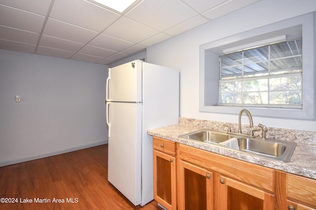 kitchen featuring a drop ceiling, sink, light hardwood / wood-style floors, and white refrigerator