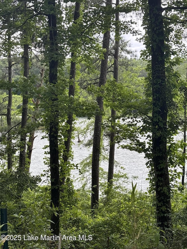151 Pemberton Rd, Tallassee, AL 36078 - water view