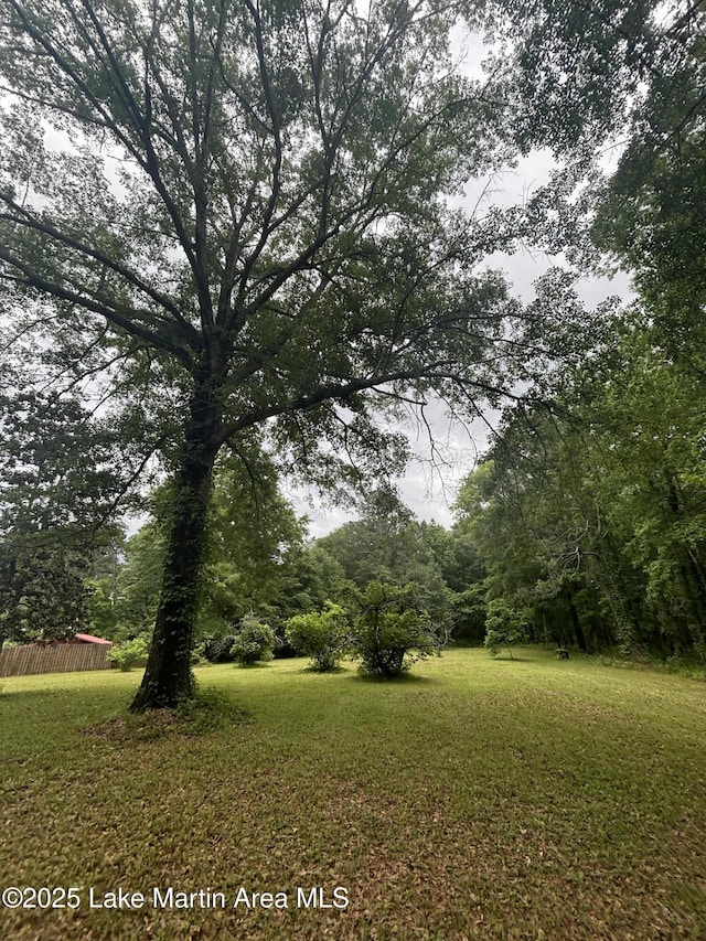 151 Pemberton Rd, Tallassee, AL 36078 - view of grassy yard