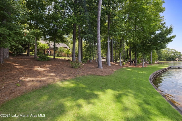 1594 Beri Barfield Dr, Dadeville, AL 36853 - photo 12