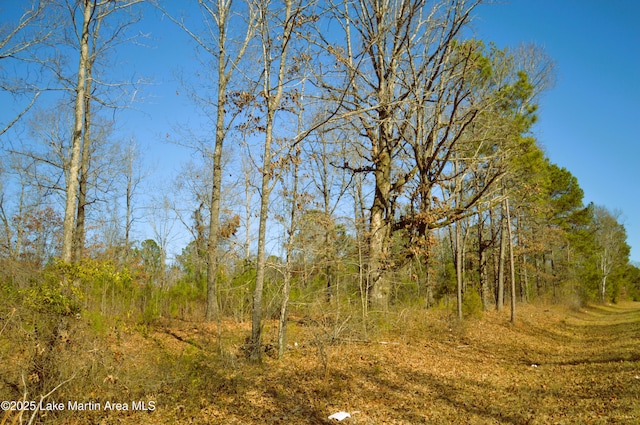 Address Not Disclosed, Dadeville AL, 36853 land for sale