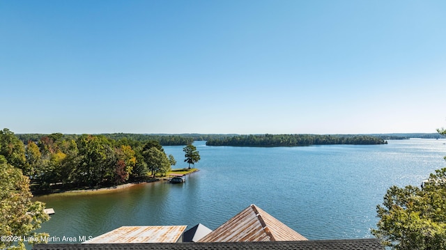 view of water feature with a boat dock