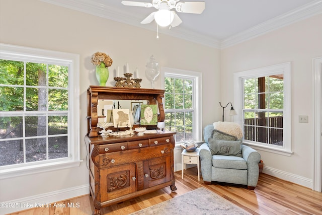 314 Daine Dr, Jacksons Gap, AL 36861 - sitting room with plenty of natural light, ornamental molding, light wood-type flooring, a ceiling fan, and baseboards