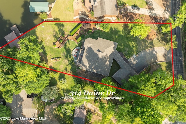 314 Daine Dr, Jacksons Gap, AL 36861 - aerial view of property's location with property parcel outlined
