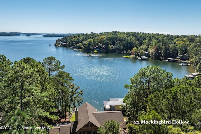 water view with a wooded view