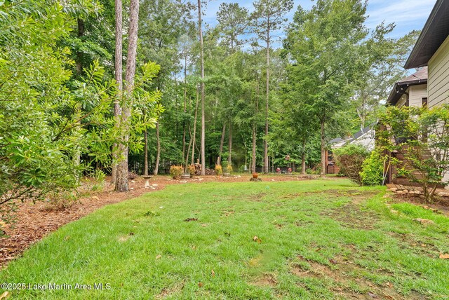 825 Still Waters Dr, Dadeville, AL 36853 - photo 23