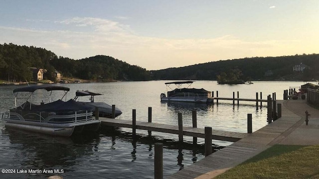 dock area with a water view