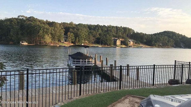 dock area with a water view