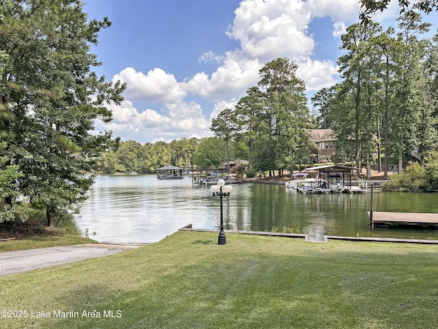 1614 Castaway Island Rd, Eclectic, AL 36024 - photo 38