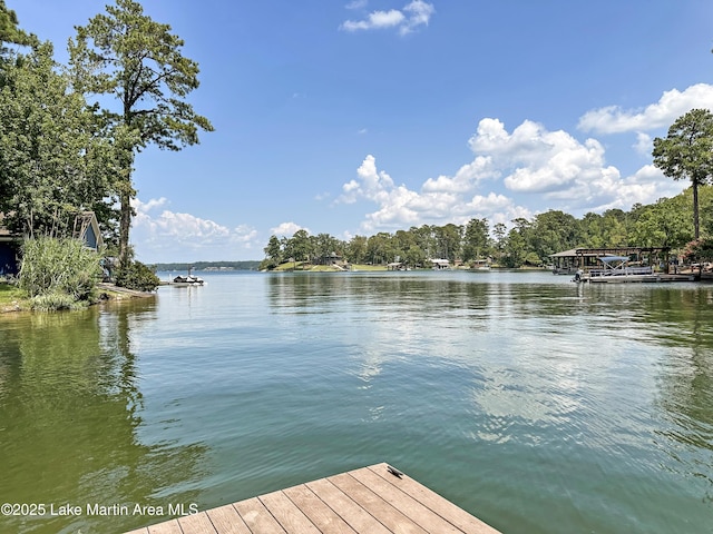 1614 Castaway Island Rd, Eclectic, AL 36024 - photo 2