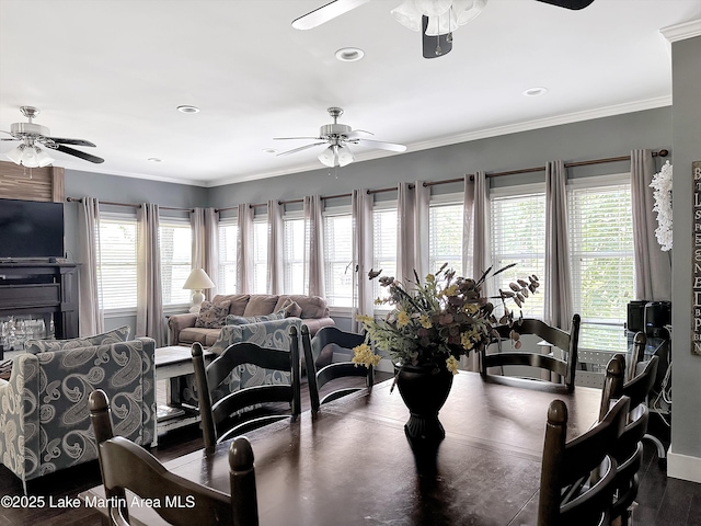 1614 Castaway Island Rd, Eclectic, AL 36024 - photo 10