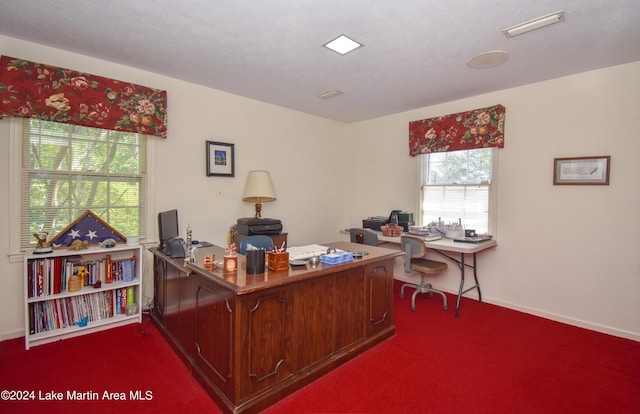 office area featuring carpet flooring and a textured ceiling