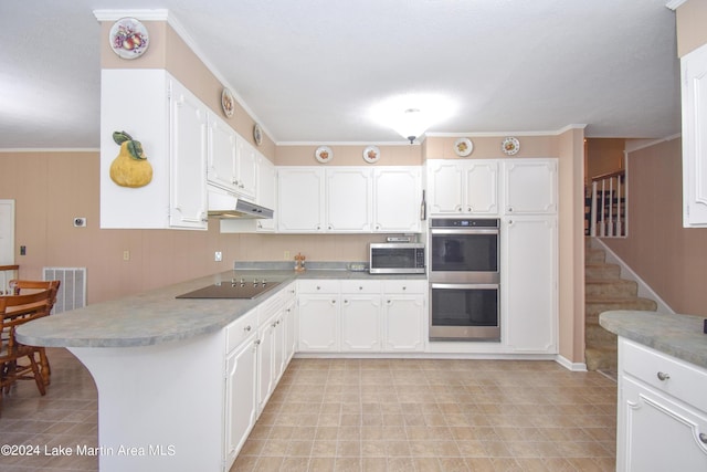 kitchen with kitchen peninsula, crown molding, white cabinetry, and stainless steel appliances