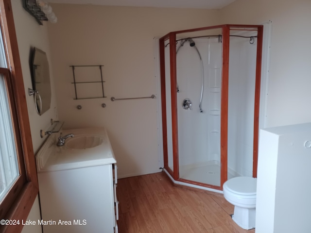 bathroom with vanity, toilet, wood-type flooring, and a shower with door