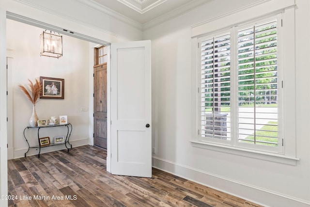 interior space featuring a notable chandelier, crown molding, dark wood-type flooring, and a wealth of natural light