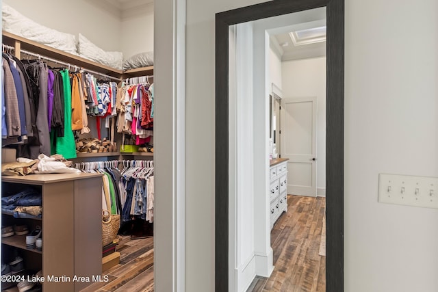 walk in closet with hardwood / wood-style flooring