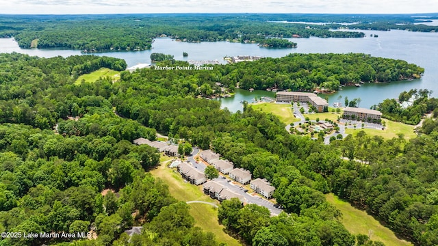 bird's eye view featuring a water view and a forest view