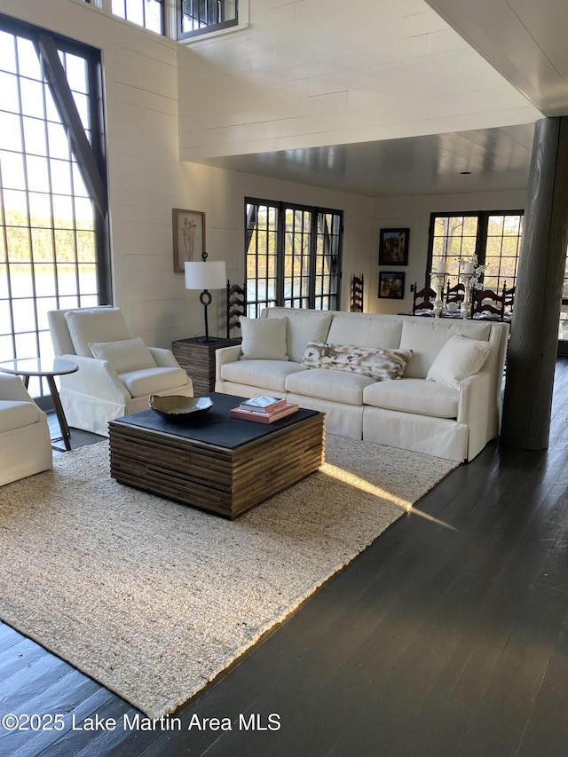 living room featuring a healthy amount of sunlight and hardwood / wood-style floors