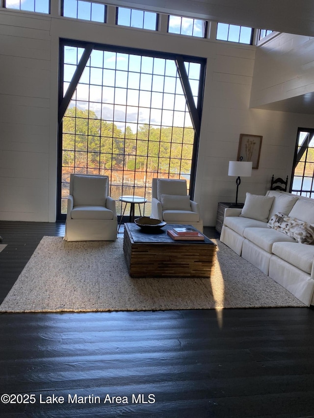 living room featuring dark hardwood / wood-style flooring and a high ceiling