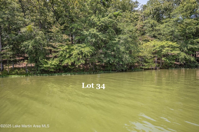 2325 Sturdivant Rd, Jacksons Gap, AL 36853
