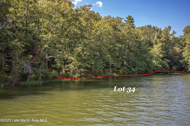 2325 Sturdivant Rd, Jacksons Gap, AL 36853