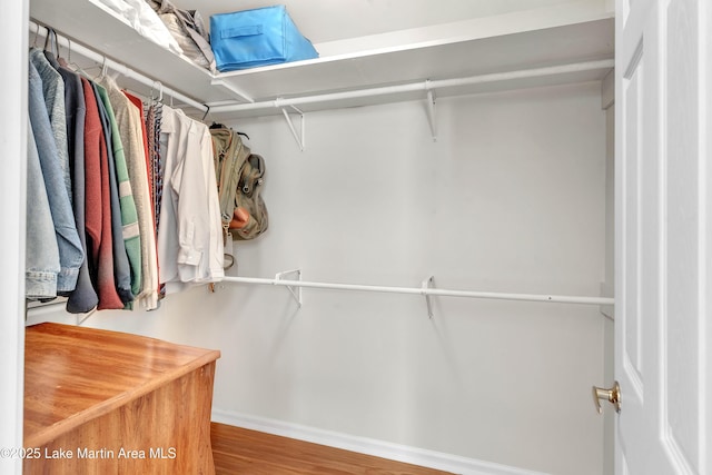 72 Christopher Cir, Alexander City, AL 35010 - spacious closet featuring wood finished floors