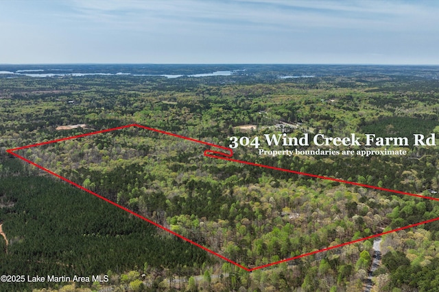 304 Wind Creek Farm Rd, Alexander City, AL 35010 - birds eye view of property with a wooded view