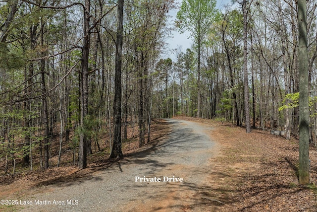 304 Wind Creek Farm Rd, Alexander City, AL 35010 - view of road with a wooded view