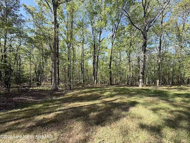 304 Wind Creek Farm Rd, Alexander City, AL 35010 - view of yard with a wooded view