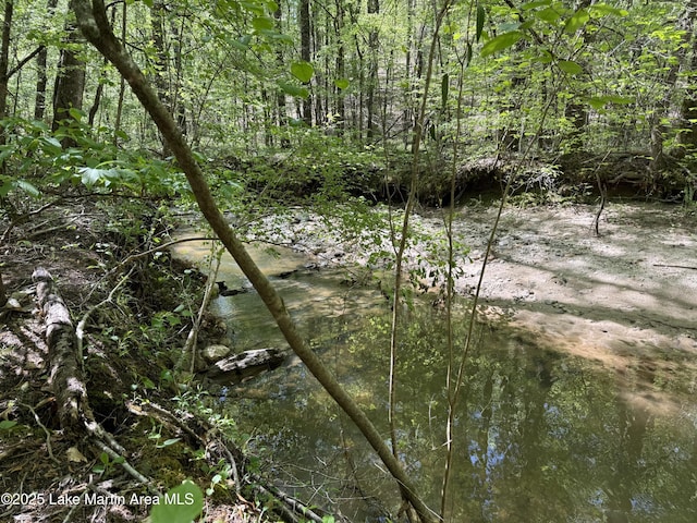 304 Wind Creek Farm Rd, Alexander City, AL 35010 - view of local wilderness with a wooded view