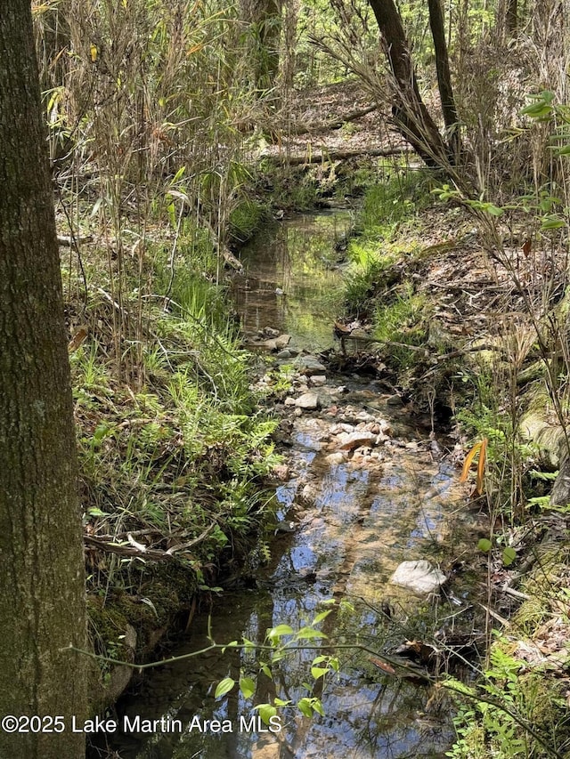304 Wind Creek Farm Rd, Alexander City, AL 35010 - view of local wilderness