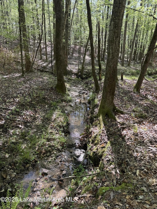 304 Wind Creek Farm Rd, Alexander City, AL 35010 - view of local wilderness with a wooded view