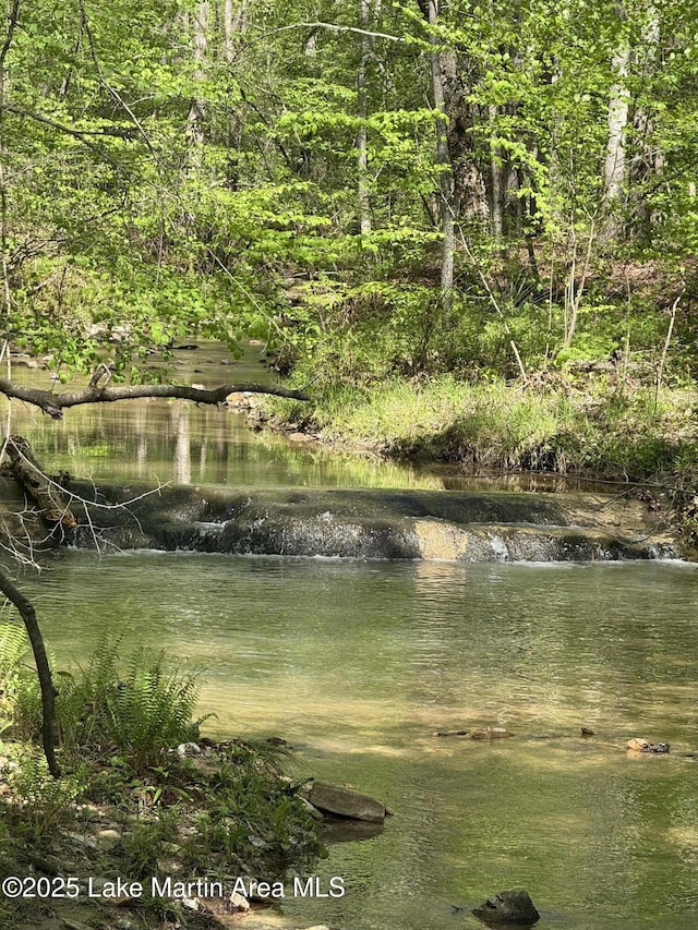 304 Wind Creek Farm Rd, Alexander City, AL 35010 - water view featuring a view of trees