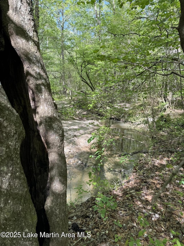 304 Wind Creek Farm Rd, Alexander City, AL 35010 - view of local wilderness with a forest view