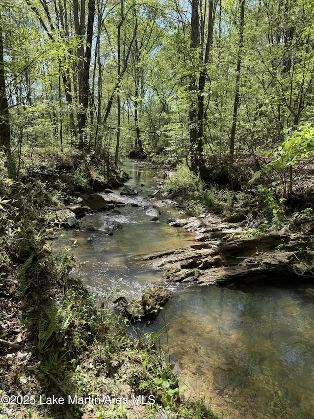 304 Wind Creek Farm Rd, Alexander City, AL 35010 - view of landscape featuring a forest view