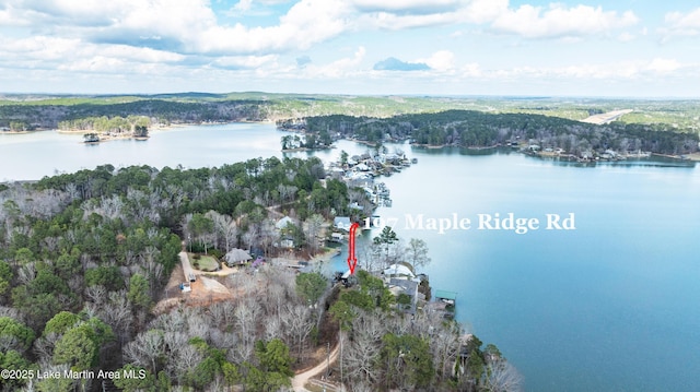 bird's eye view with a forest view and a water view