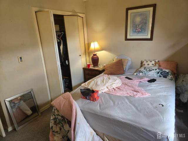 146 Old Nassau Rd, Monroe, NJ 08831 - bedroom with carpet floors and a closet