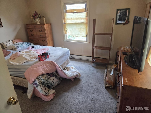 146 Old Nassau Rd, Monroe, NJ 08831 - view of carpeted bedroom