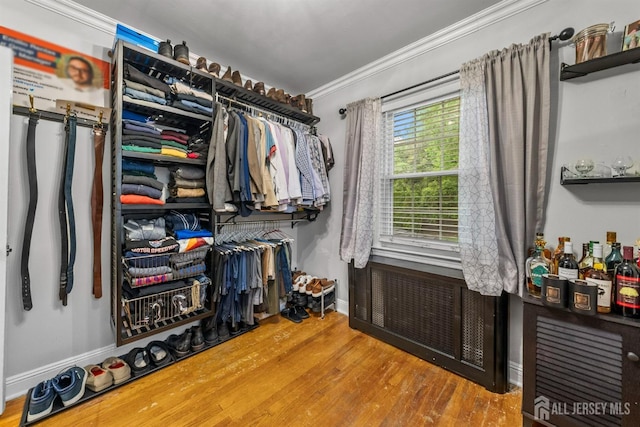 spacious closet with wood finished floors