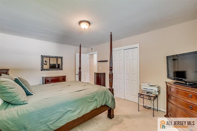 20 Melville Rd, Edison, NJ 08817 - bedroom with a closet and carpet floors