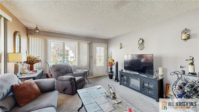 carpeted living area featuring a textured ceiling